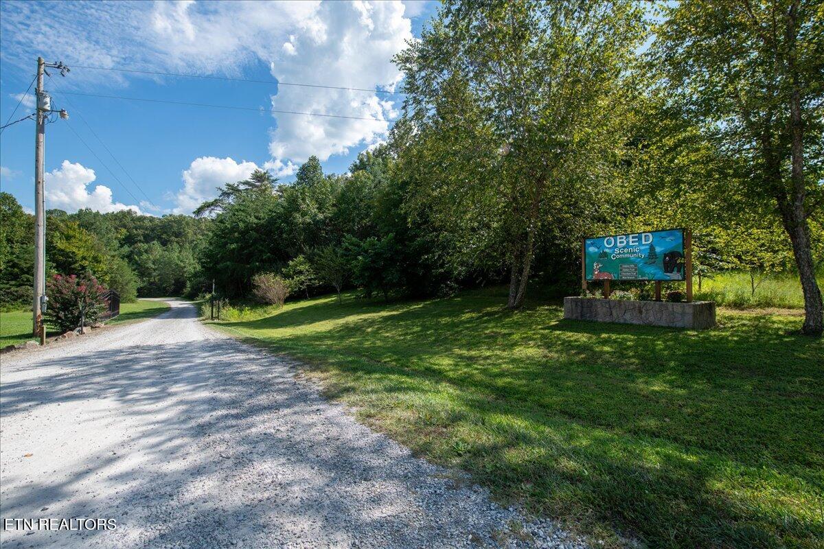 755 Bear Branch Road Wartburg, TN 37887 - Photo 45 of 58 43-DSC_7271-HDR
