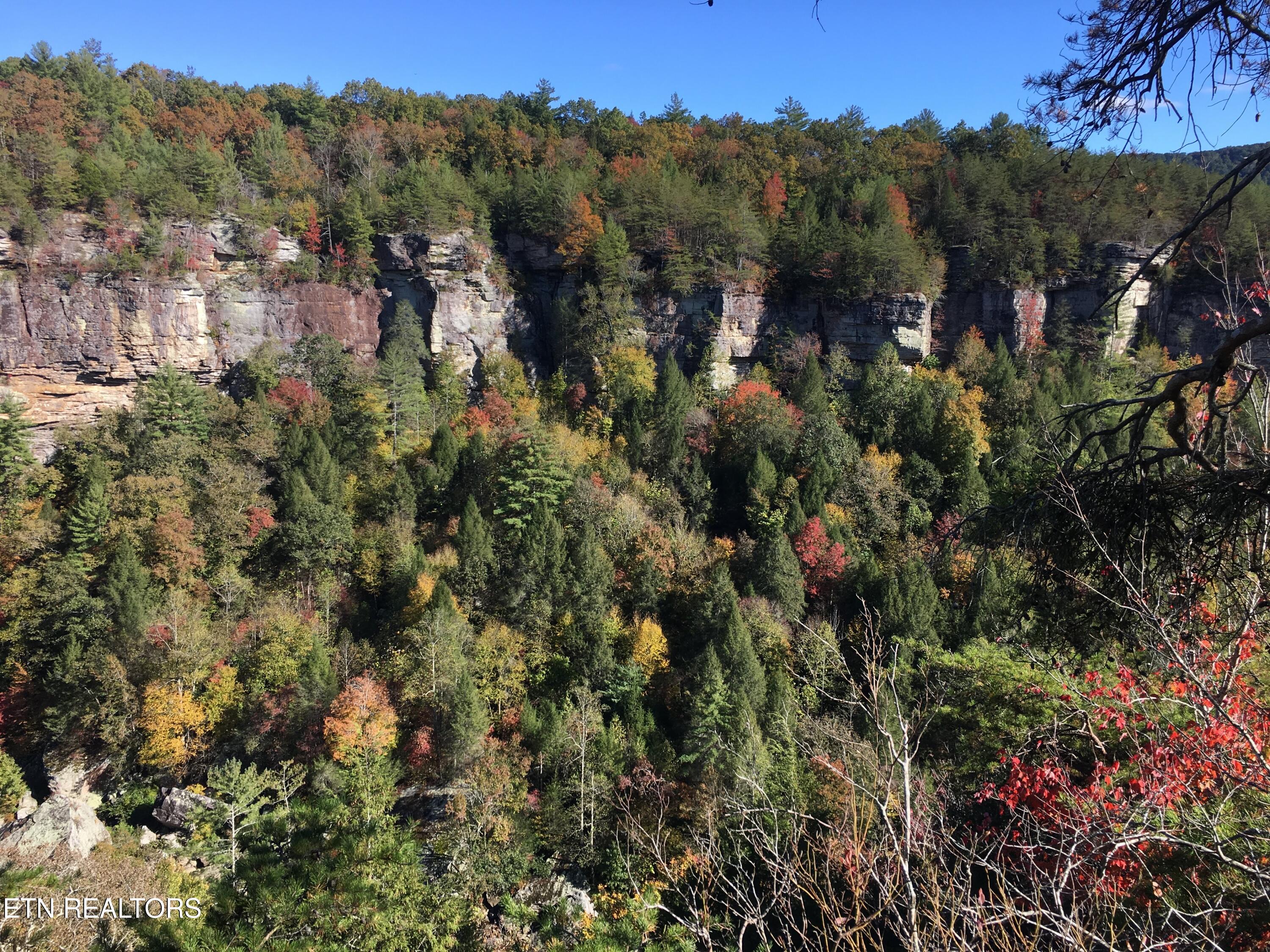 755 Bear Branch Road Wartburg, TN 37887 - Photo 47 of 58 Obed River Gorge