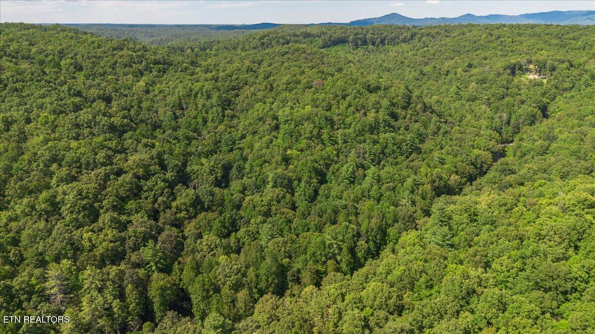 755 Bear Branch Road Wartburg, TN 37887 - Photo 48 of 58 46-DJI_0401-HDR