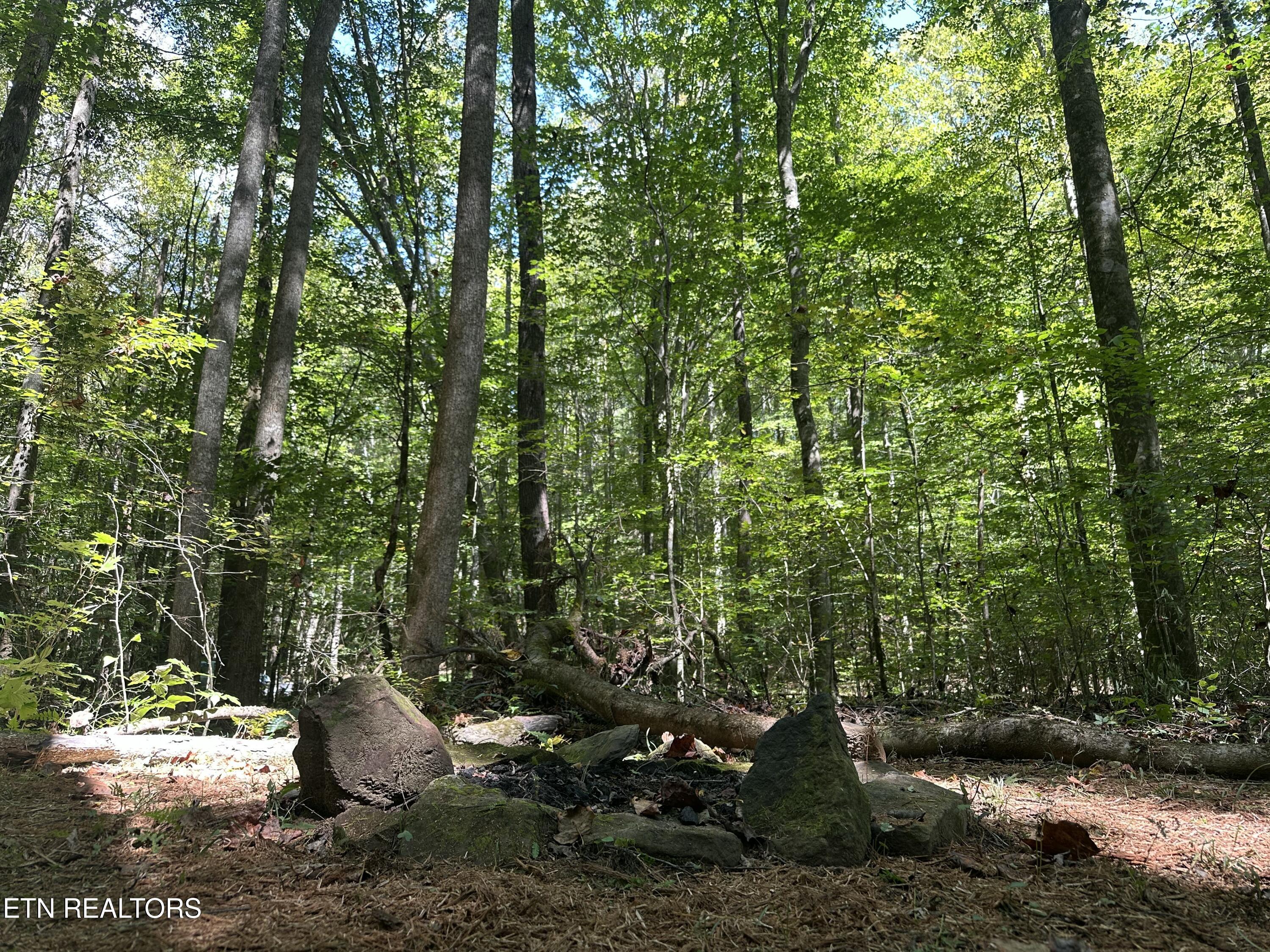 755 Bear Branch Road Wartburg, TN 37887 - Photo 52 of 58 Campsite