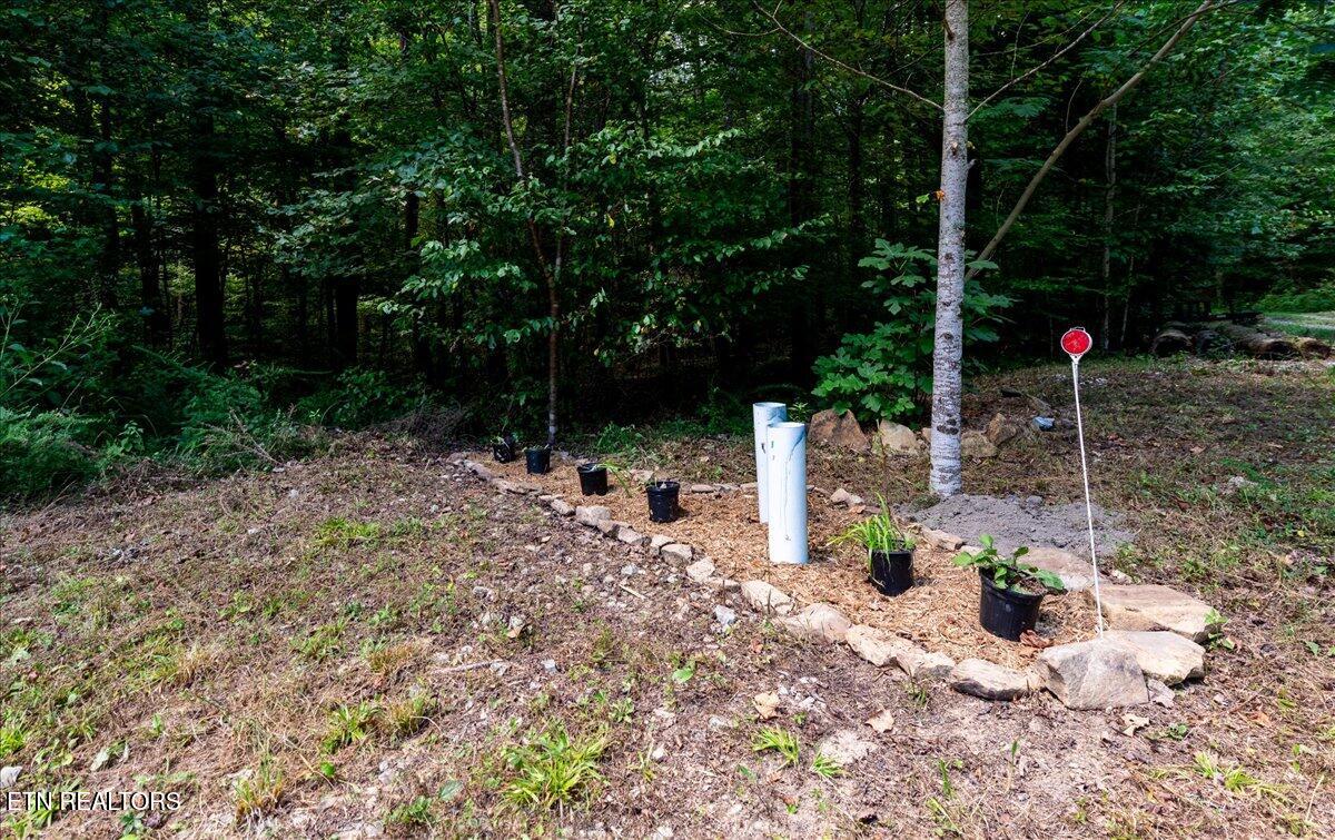 755 Bear Branch Road Wartburg, TN 37887 - Photo 56 of 58 25-DSC_7124-HDR