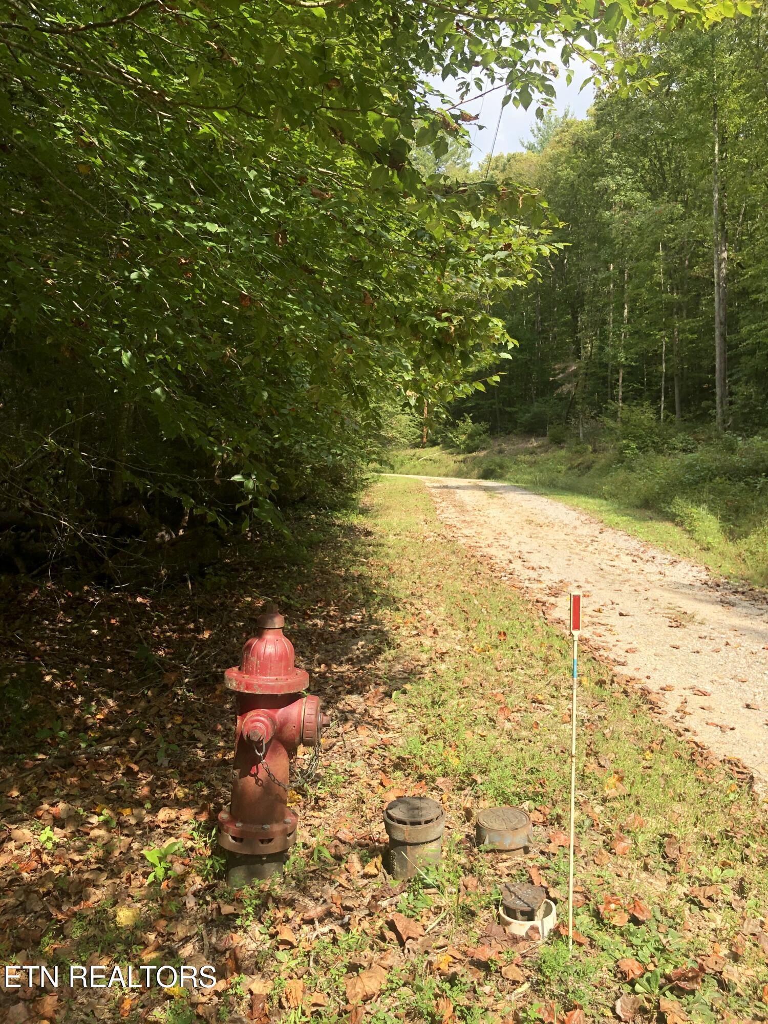 755 Bear Branch Road Wartburg, TN 37887 - Photo 57 of 58 fire hydrant