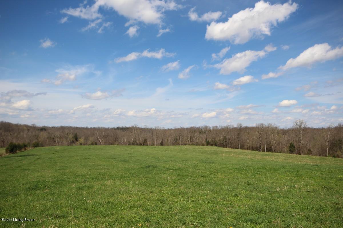 722 Stoneview Church Road Leitchfield, KY 42754 - Photo 20 of 47 722 Stone View18