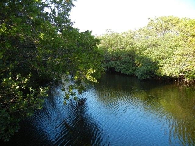 Lot 5 Magic Way Jupiter, FL 33458 - Photo 1 of 26 Another View Looking East