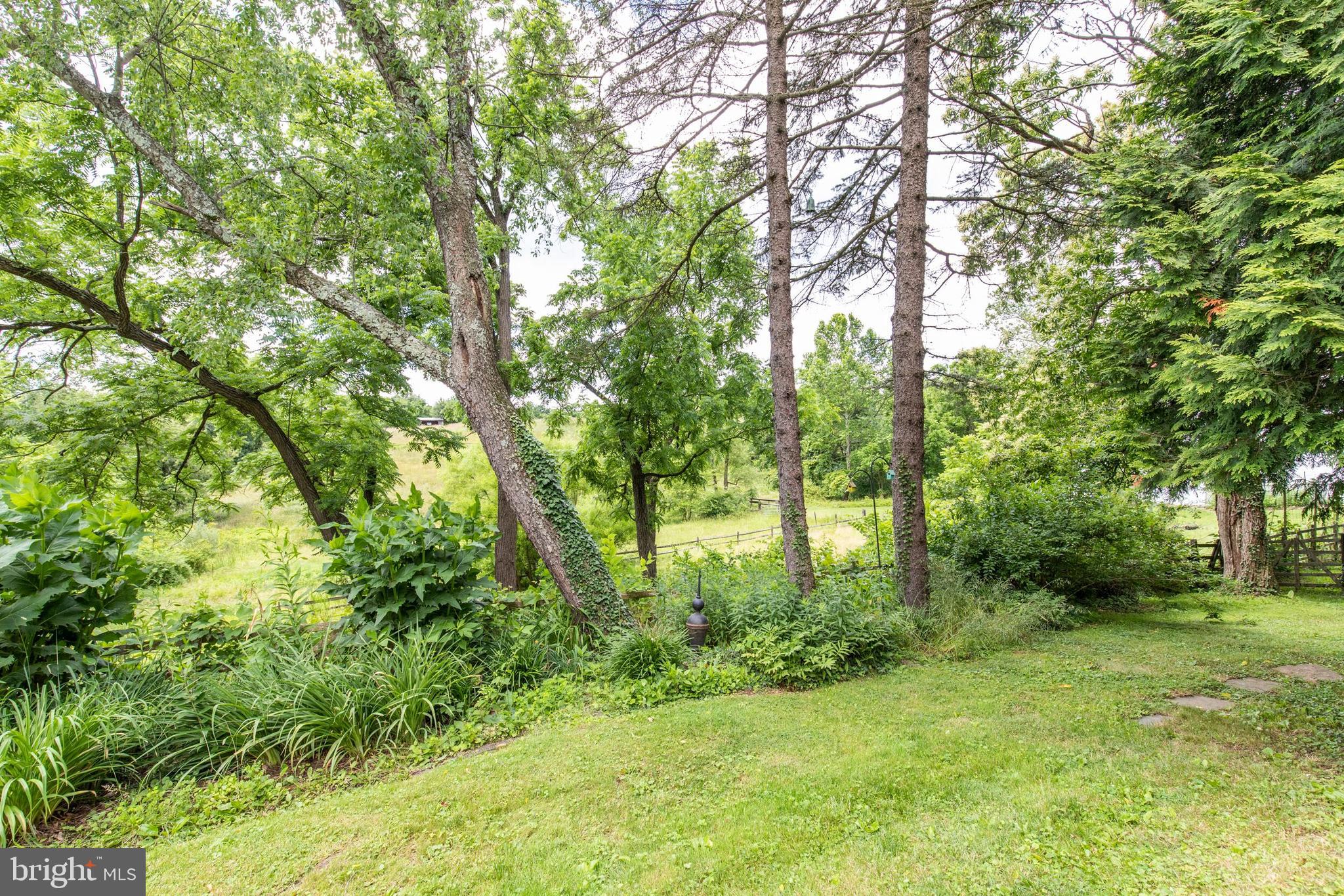 329 Buckwalter Road Phoenixville, PA 19460 - Photo 41 of 47 View from Back Patio
