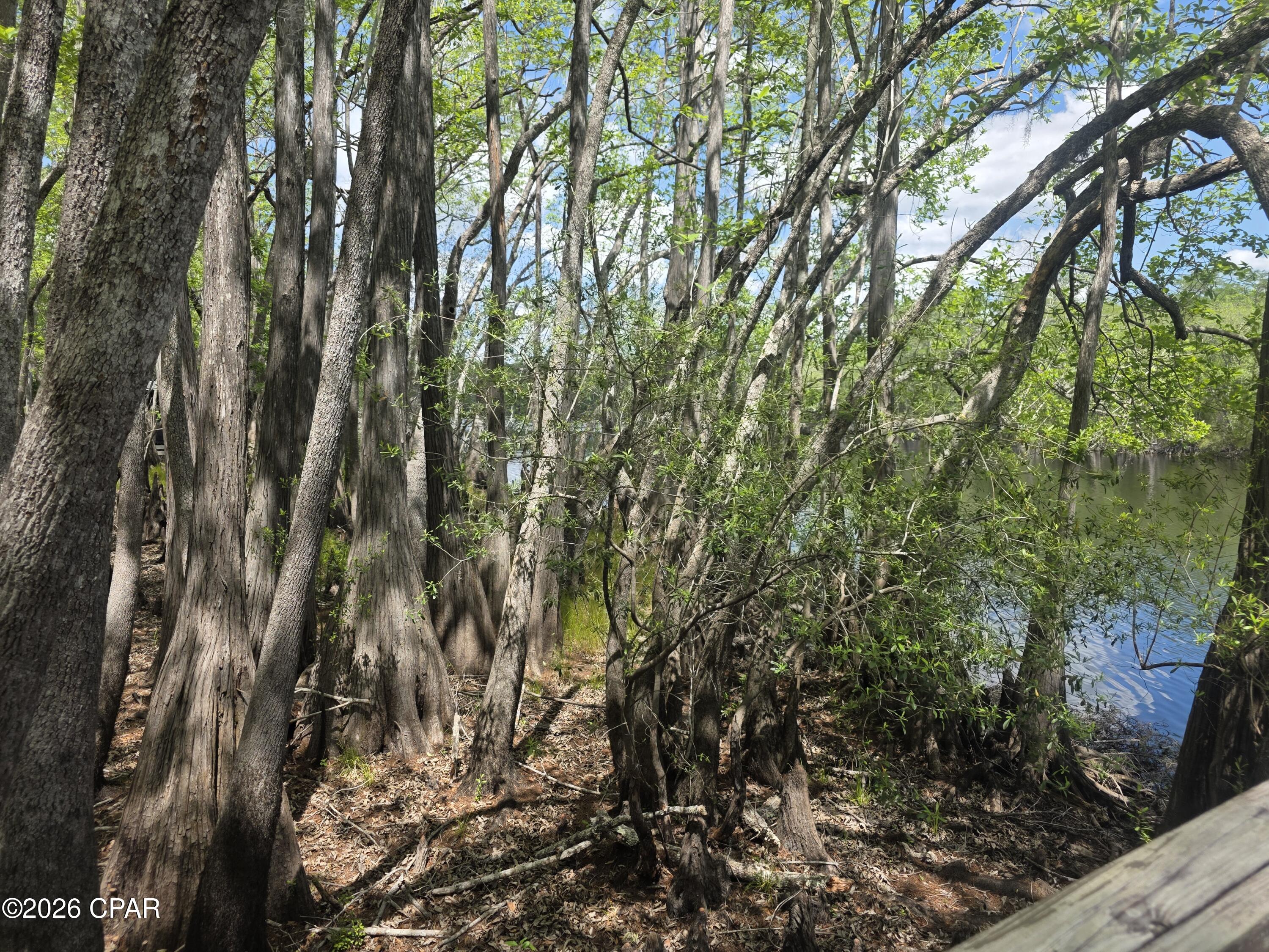 11413 Church Road Ebro, FL 32437 - Photo 45 of 45