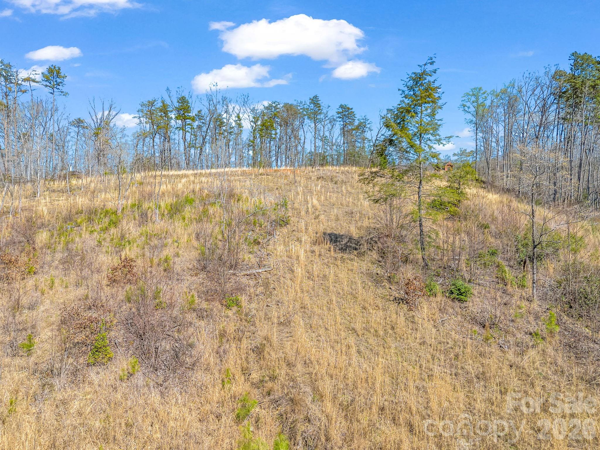 0 Shady Bark Lane, Unit 52 Rutherfordton, NC 28139 - Photo 12 of 45 Gallery Image 12