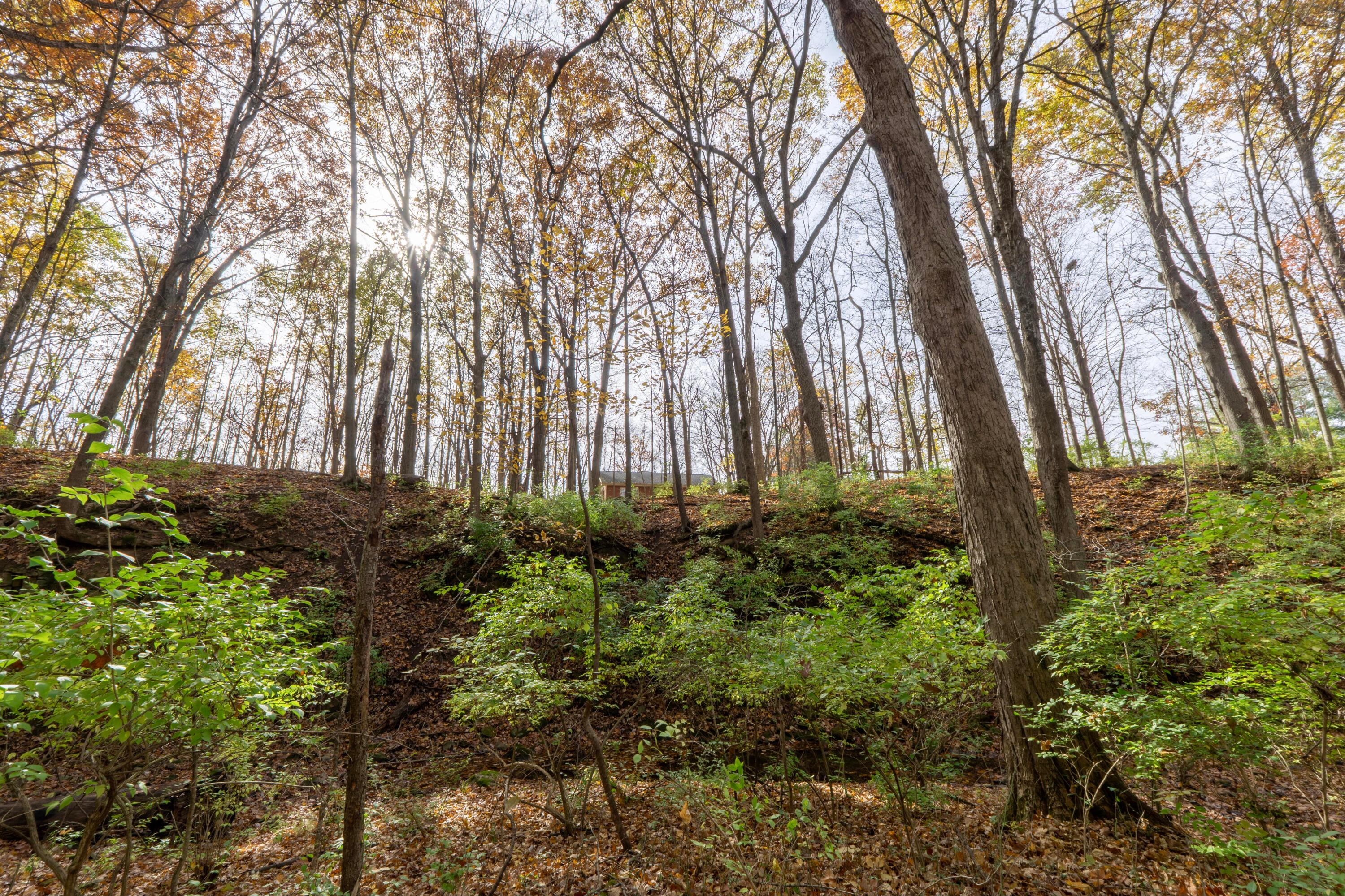 3880 Fry Road Ostrander, OH 43061 - Photo 72 of 82 Just imagine the views!
