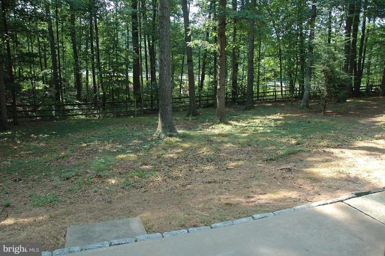 1401 Old Quincy Lane Reston, VA 20194 - Photo 2 of 17 Backyard View