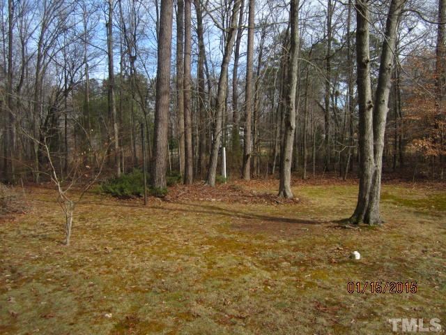 1427 Dirgie Mine Road Roxboro, NC 27574 - Photo 4 of 13 a backyard of a house with lots of green space