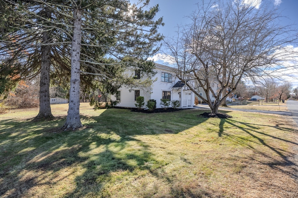 265 Stanley Street Amherst, MA 01002 - Photo 27 of 35 a view of a yard with large trees