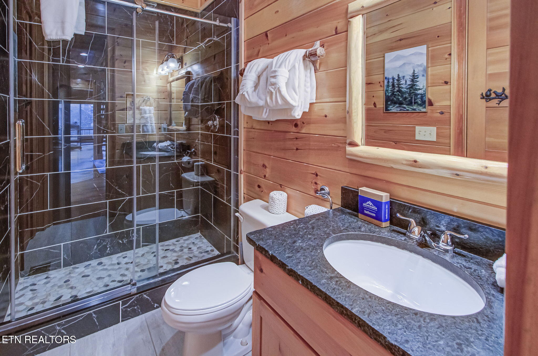 3385 Birds Creek Road Sevierville, TN 37876 - Photo 43 of 60 IMG_8842