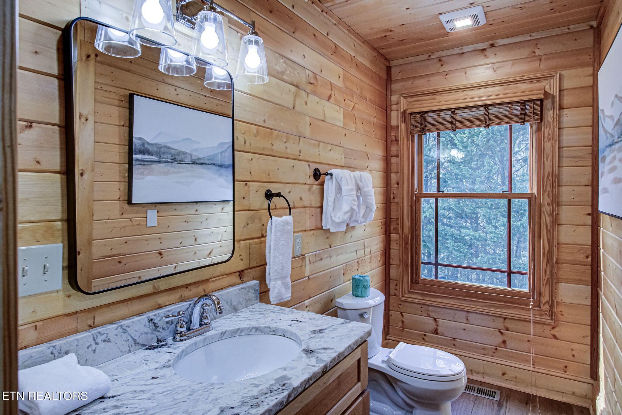 3385 Birds Creek Road Sevierville, TN 37876 - Photo 54 of 60 IMG_4731