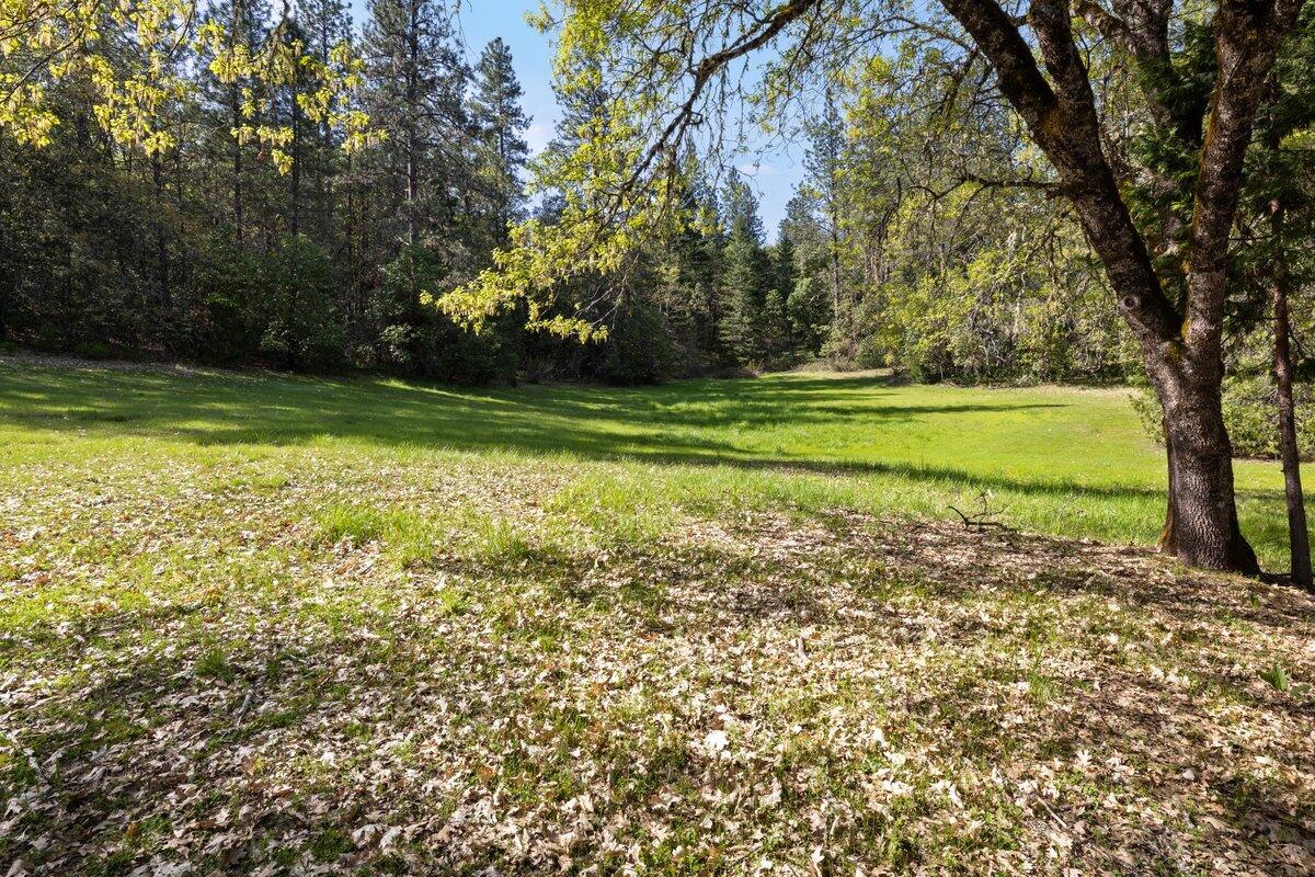 1129 Three Pines Road Grants Pass, OR 97526 - Photo 48 of 52 Meadow by pond