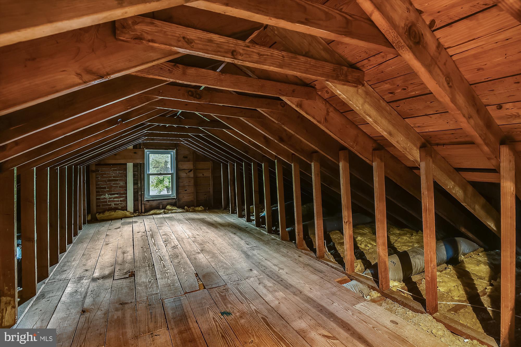1137 Hampton Road Annapolis, MD 21409 - Photo 37 of 61 Walkup Attic for Storage or Future Expansion
