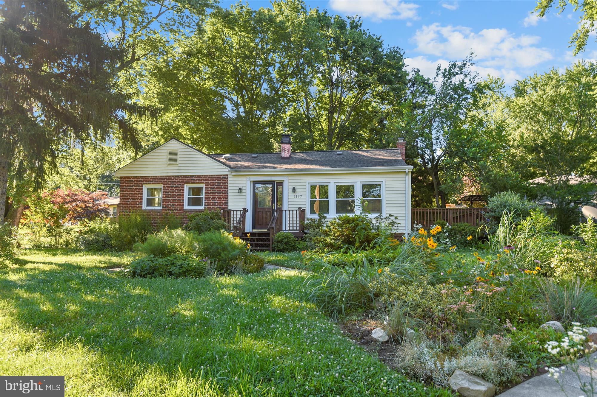1137 Hampton Road Annapolis, MD 21409 - Photo 48 of 61 Bees and Butterflies love this yard!