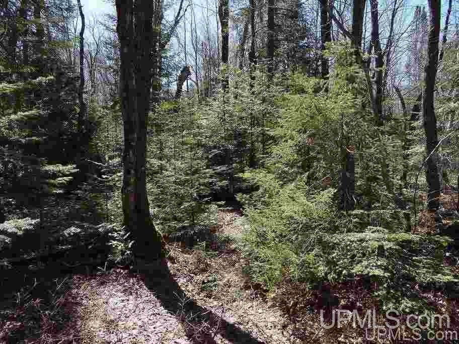 Tbd Celotex Road Michigamme, MI 49946 - Photo 10 of 25