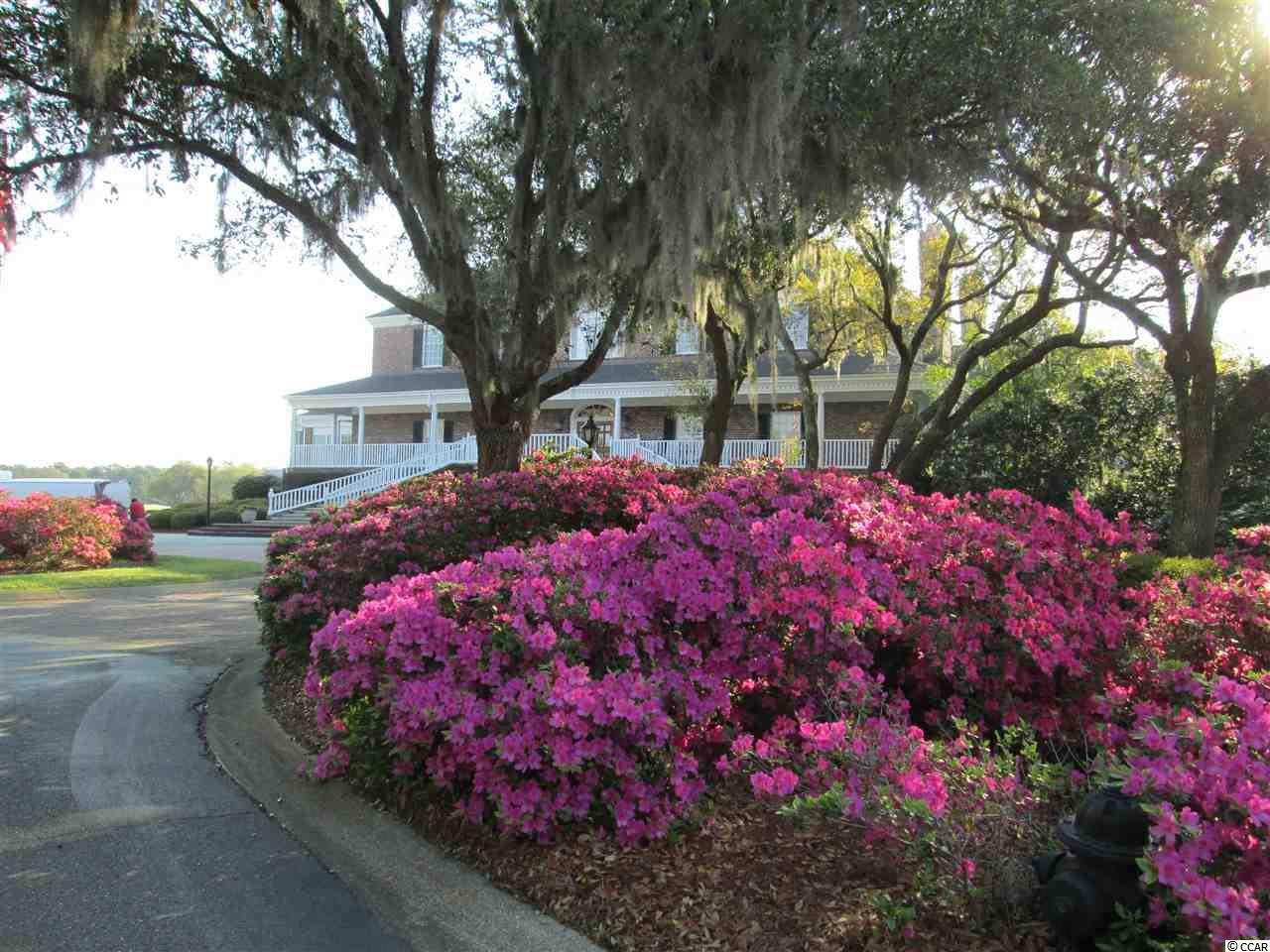 Lot 48 Pinckney Road Georgetown, SC 29440 - Photo 18 of 18 Gallery Image 18