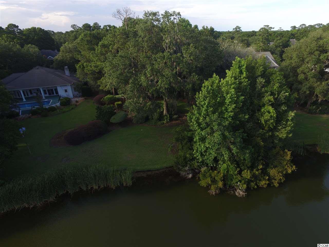 Lot 48 Pinckney Road Georgetown, SC 29440 - Photo 3 of 18 Gallery Image 3