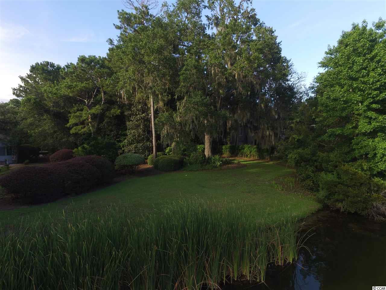 Lot 48 Pinckney Road Georgetown, SC 29440 - Photo 4 of 18 Gallery Image 4