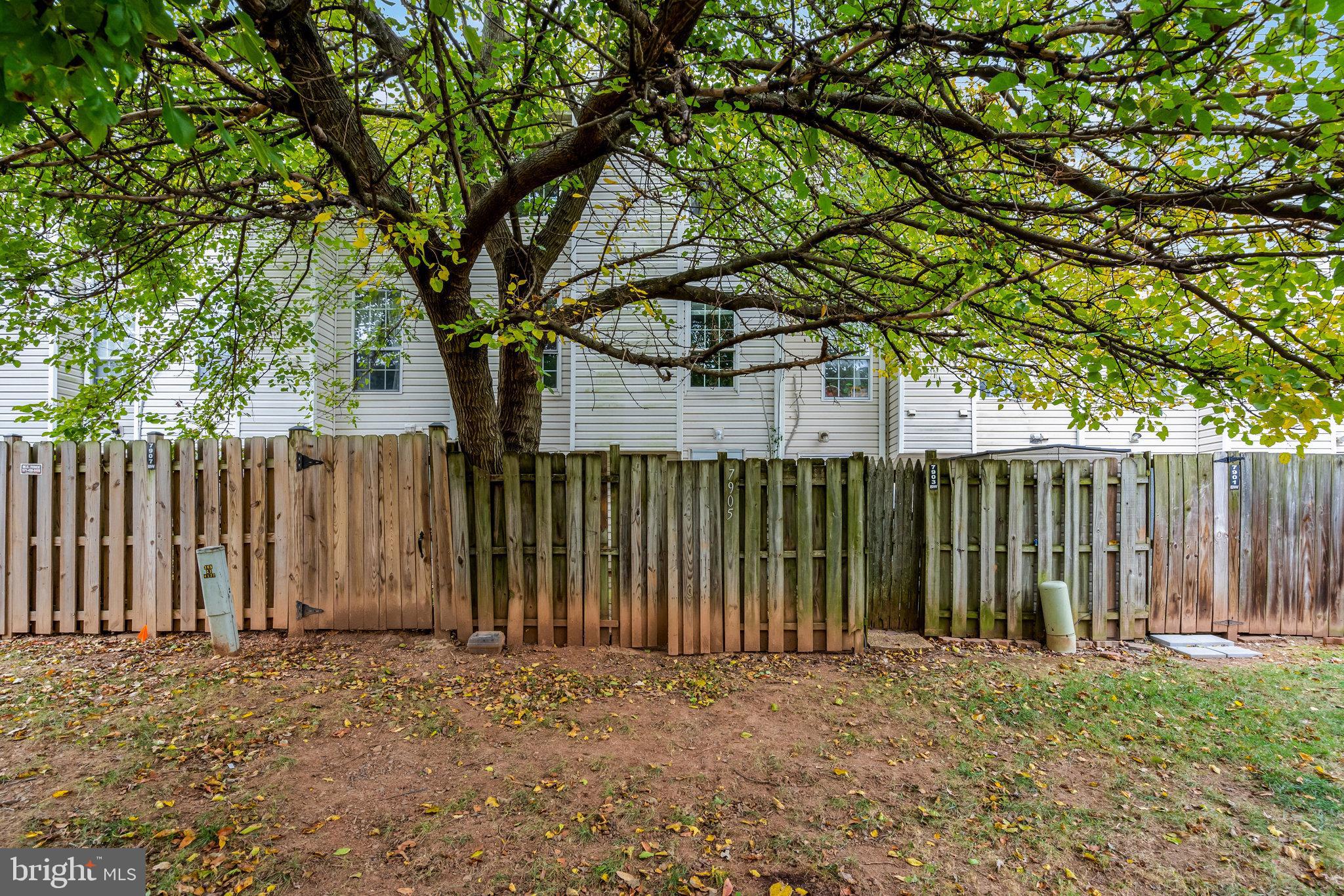 7905 Brighton Way Manassas, VA 20109 - Photo 32 of 32 a view of a house with a small yard and tree