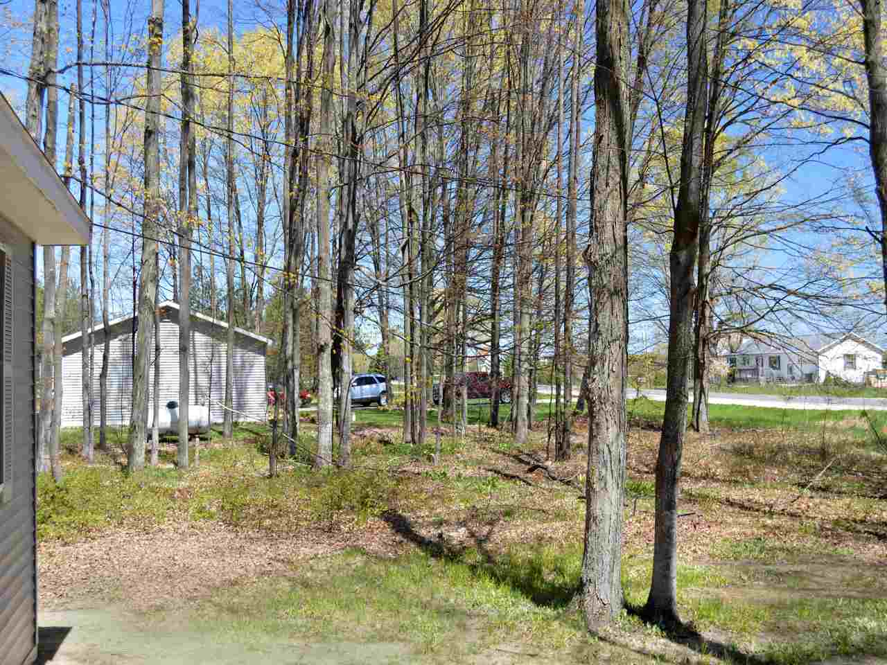 11389 North 17 Road Buckley, MI 49620 - Photo 46 of 47 1831757-45.JPG