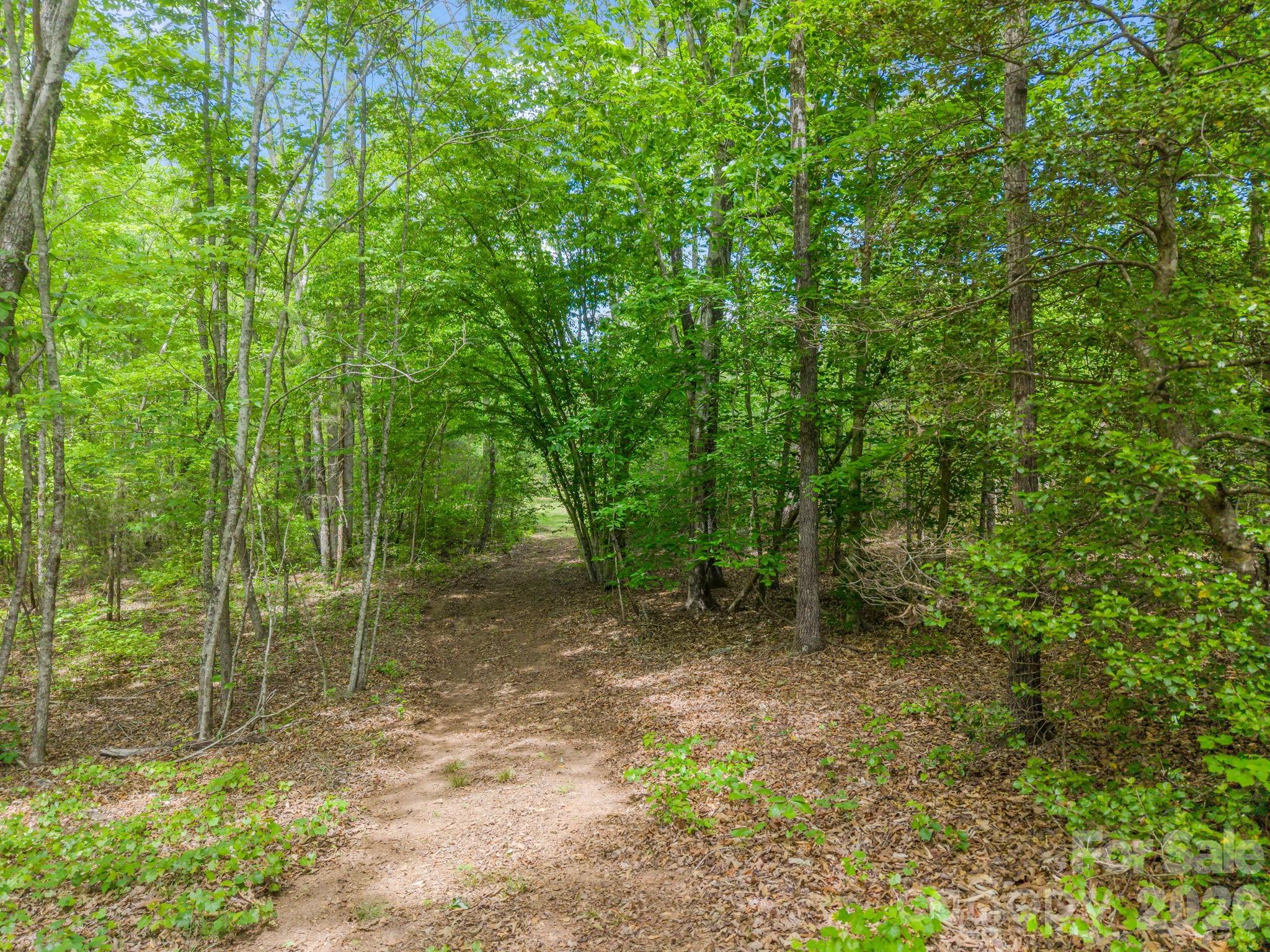 0 Romey Campbell Road Ellenboro, NC 28040 - Photo 16 of 41