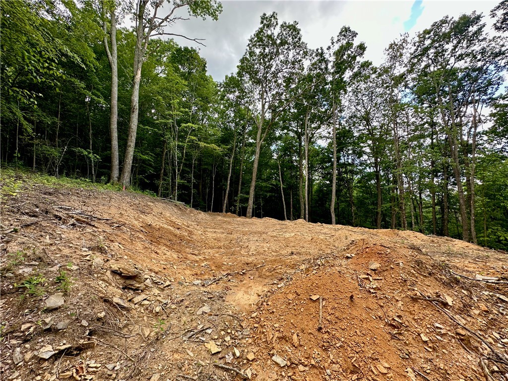 Old Chestnut Mountain Road Newland, NC 28657 - Photo 27 of 33