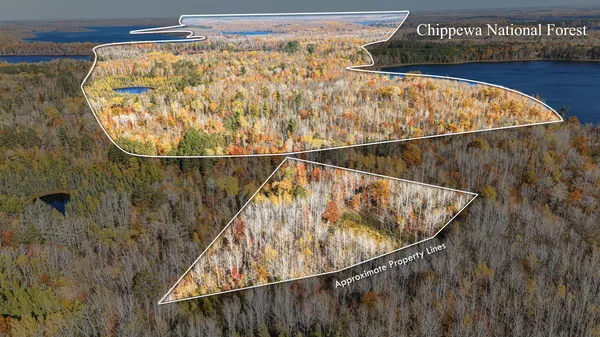 $79,999 | Tbd Wildernessa Road, Deer River, MN 56636