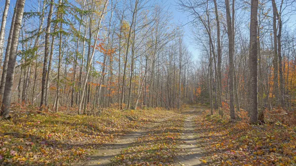 $79,999 | Tbd Wildernessa Road, Deer River, MN 56636