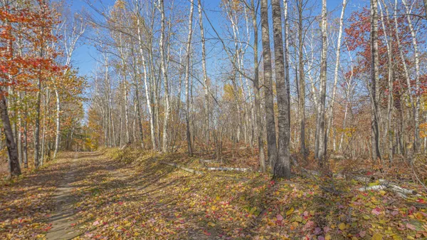 $79,999 | Tbd Wildernessa Road, Deer River, MN 56636