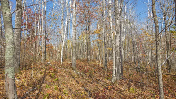 $79,999 | Tbd Wildernessa Road, Deer River, MN 56636