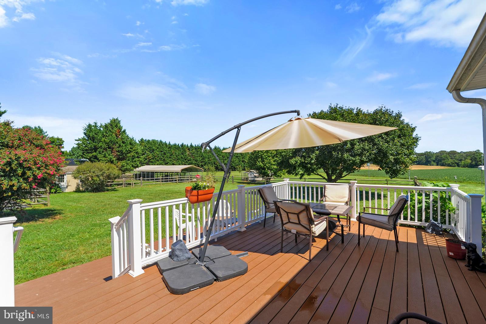 157 Wiggins Mill Road Townsend, DE 19734 - Photo 31 of 42 New Composite Deck Directly Off 3 Season Room