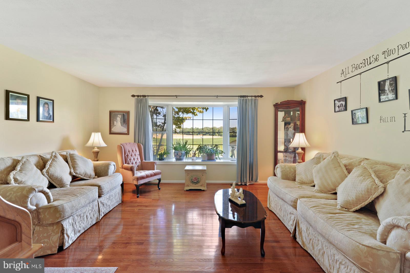 157 Wiggins Mill Road Townsend, DE 19734 - Photo 5 of 42 Formal LR with Gorgeous Views