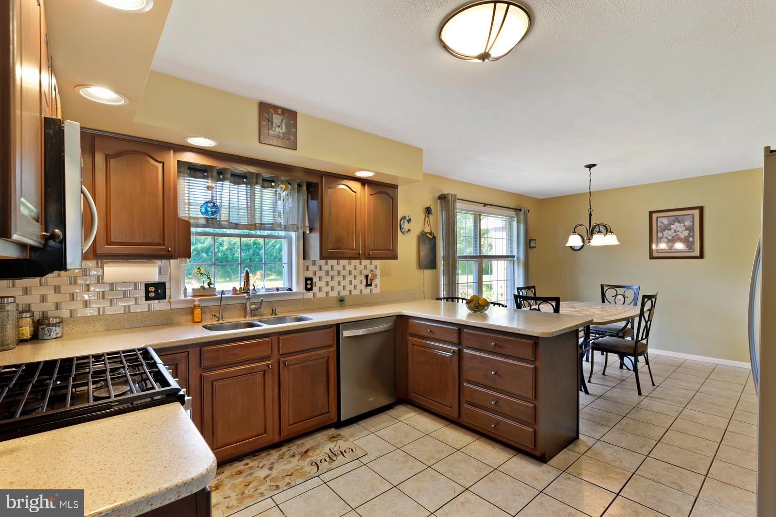 157 Wiggins Mill Road Townsend, DE 19734 - Photo 9 of 42 Large Kitchen with Newer SS appliances