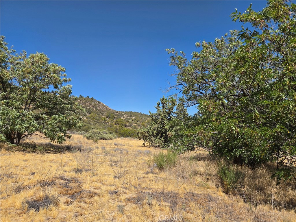 37210 Bohlen Road Anza, CA 92539 - Photo 5 of 22