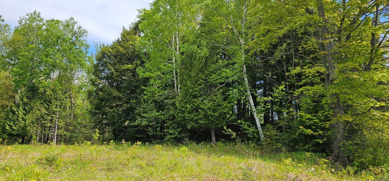 Tbd Tbd Island Lake Road Hurley, WI 54534 - Photo 4 of 25 Gallery Image 4