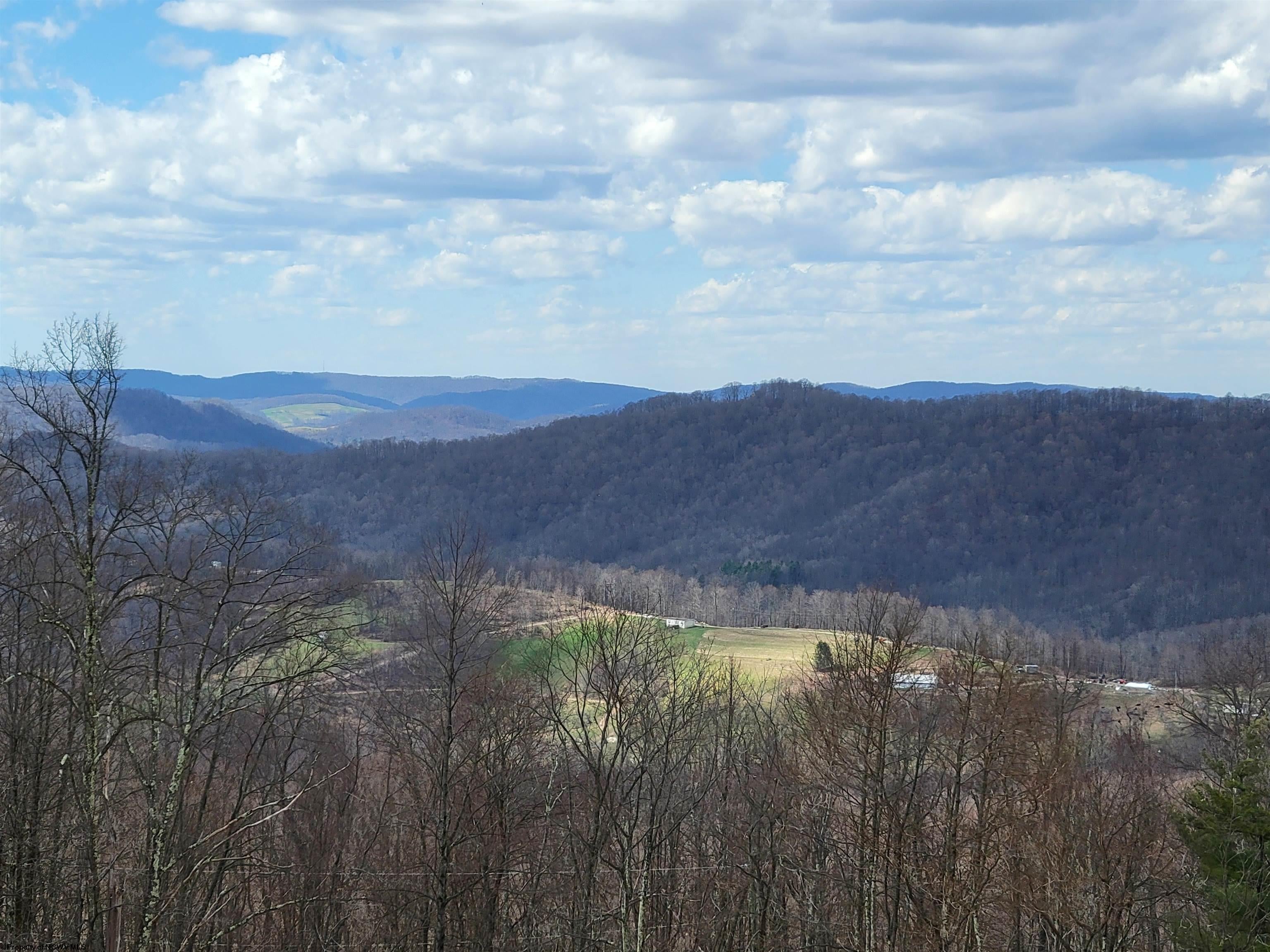 3929 Stemple Ridge Road Aurora, WV 26705 - Photo 22 of 26 Gallery Image 22