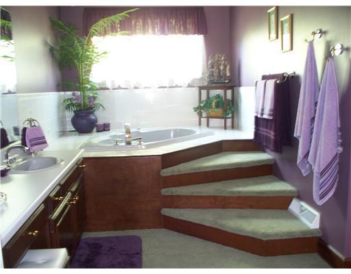 30 Sanitarium Road Washington, PA 15301 - Photo 10 of 17 Master Bath/Spa.