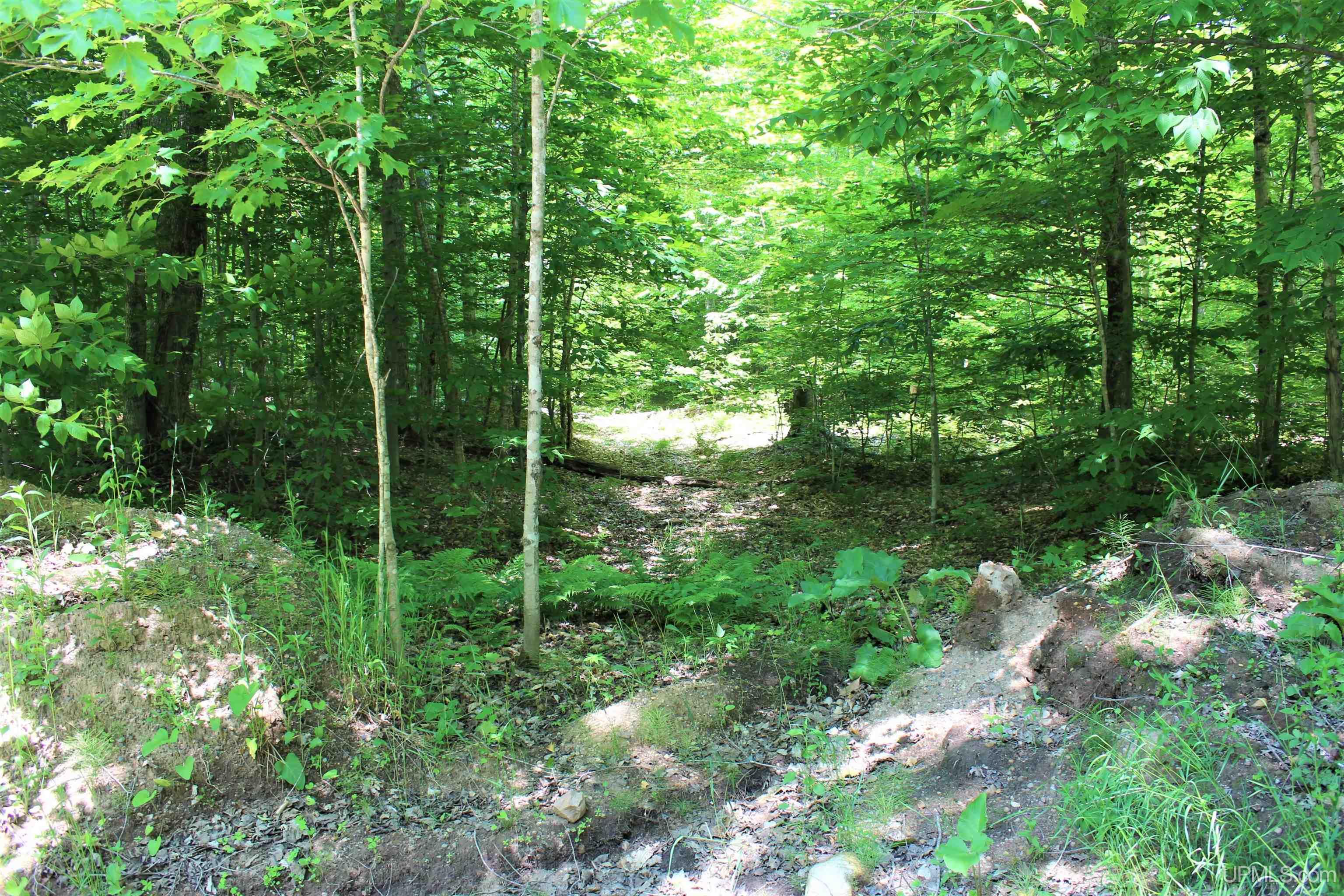 On Gage Road Munising, MI 49862 - Photo 16 of 17