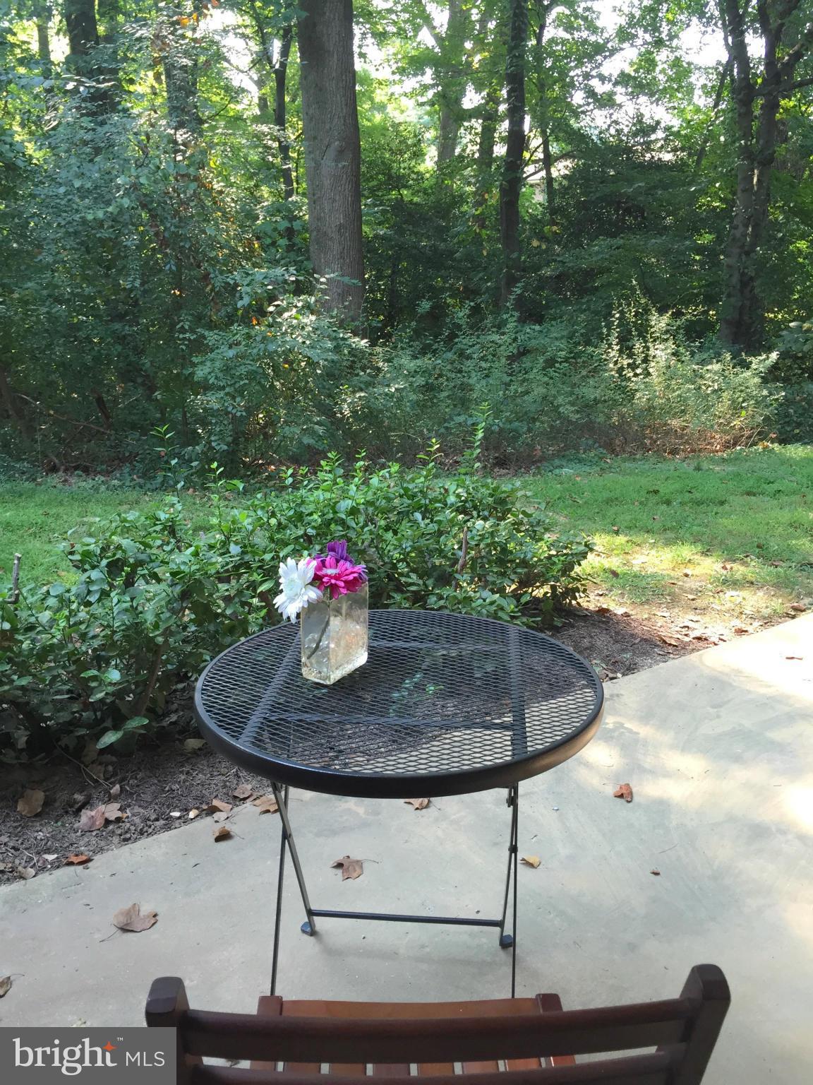 1428 Northgate Square, Unit 1A Reston, VA 20190 - Photo 16 of 20 Quiet patio perfect for relaxing