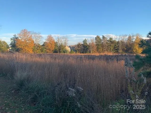 a view of lake with green space