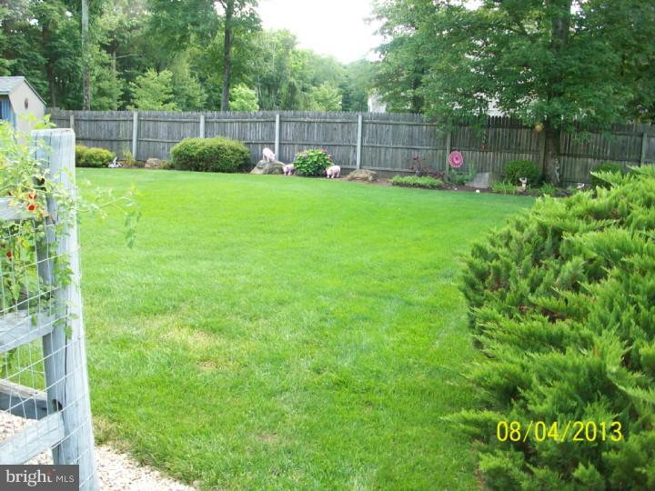 1112 West Welsh Road Ambler, PA 19002 - Photo 22 of 24 Back Yard