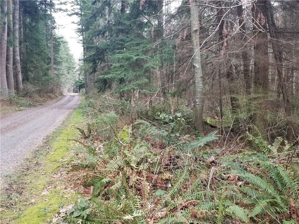 0 East Kringler Road Oak Harbor, WA 98277 - Photo 8 of 8 Gallery Image 8