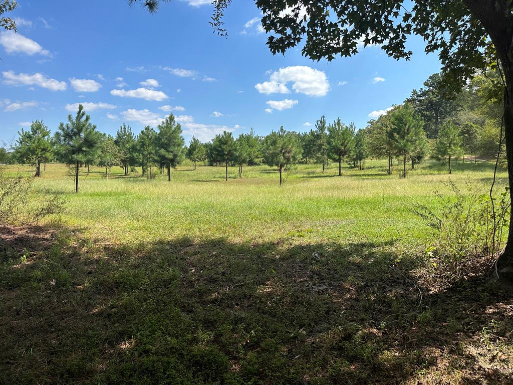 1454 Middleton Road Dothan, AL 36301 - Photo 20 of 21