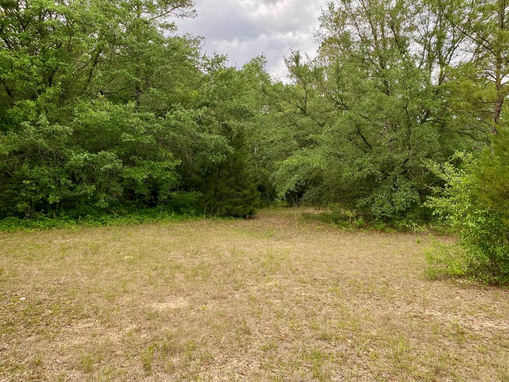3-acres Grove Road Hartford, AL 36344 - Photo 1 of 6