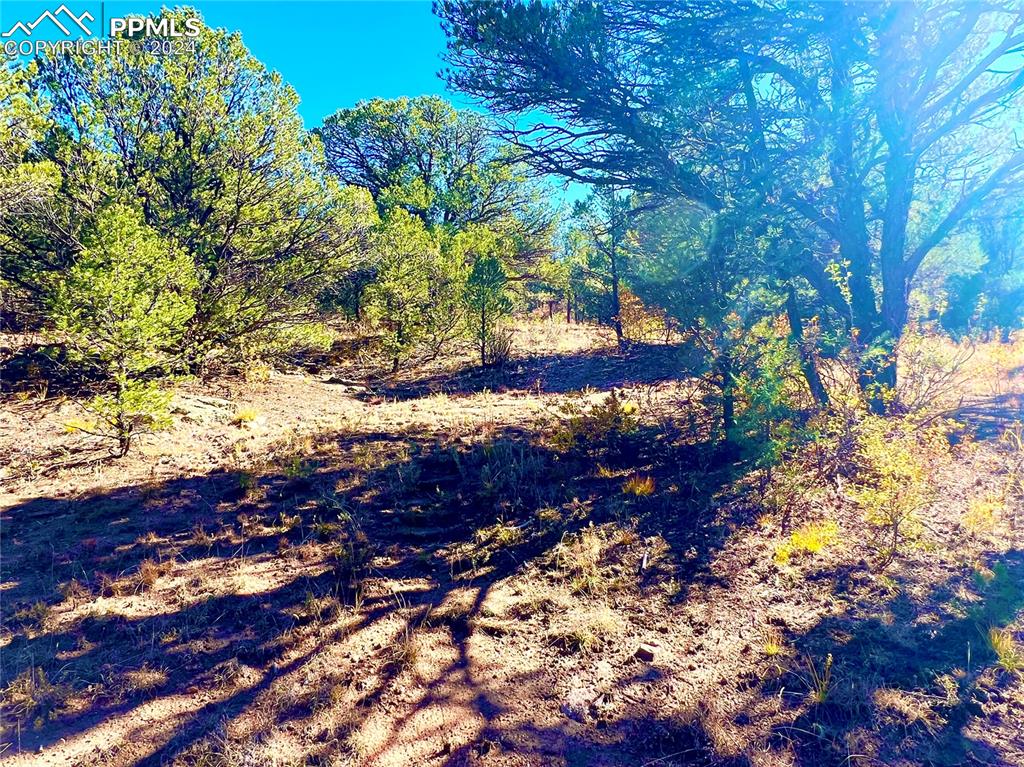 280 Kerrs Hill Road Westcliffe, CO 81252 - Photo 33 of 35 a view of a yard
