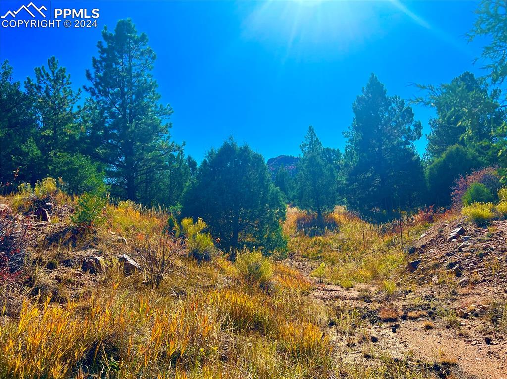 280 Kerrs Hill Road Westcliffe, CO 81252 - Photo 35 of 35 a view of a yard