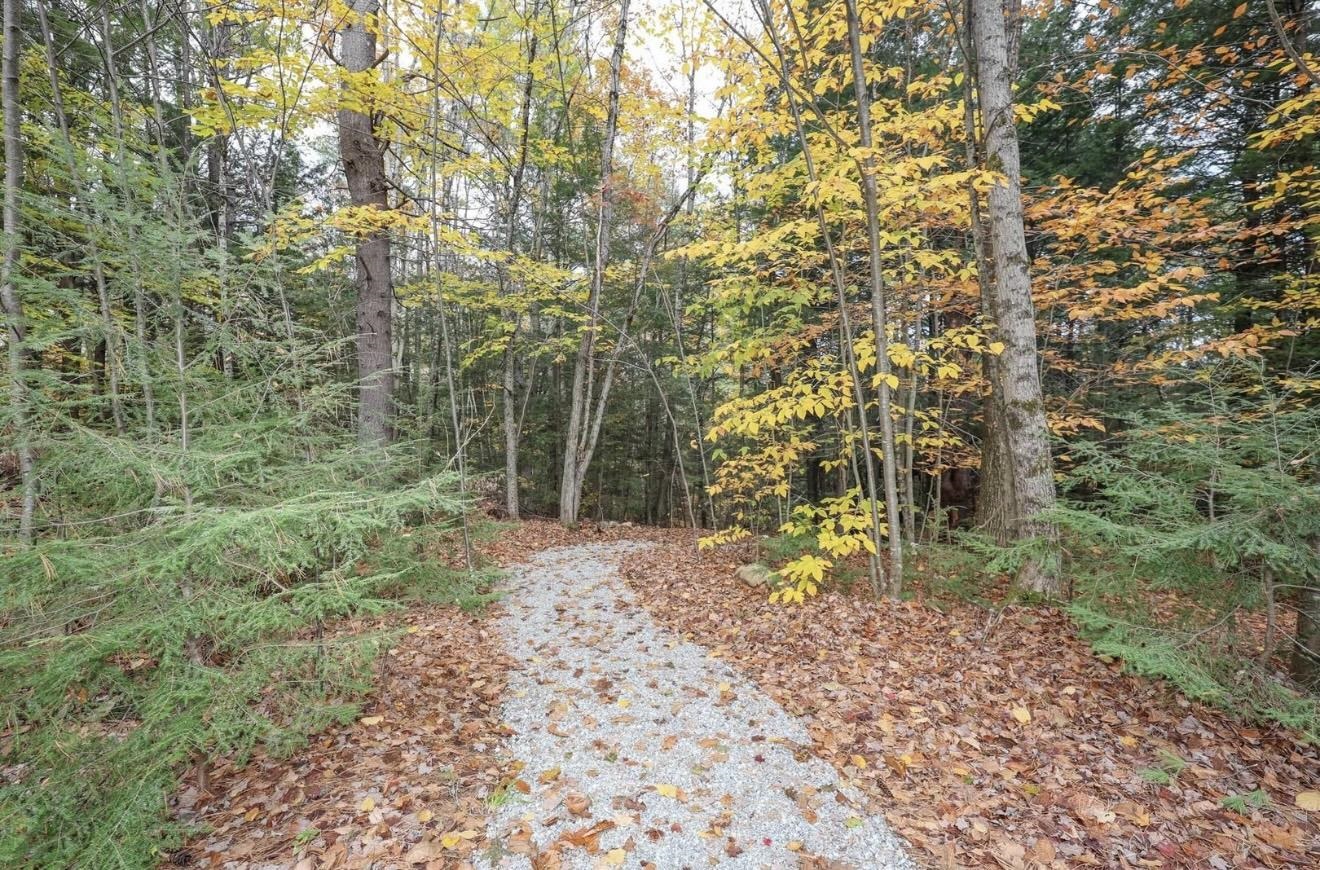 6 Birch Tree Lane Hillsborough, NH 03244 - Photo 6 of 34