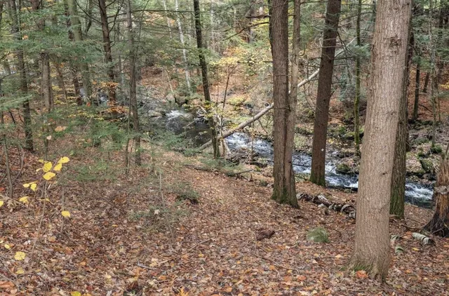 $290,000 | 6 Birch Tree Lane, Hillsborough, NH 03244